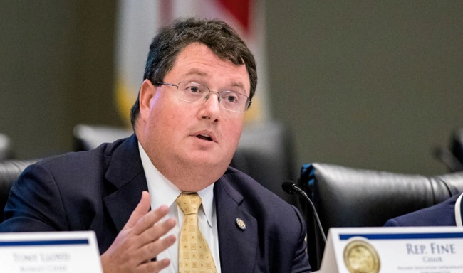 Fine, Patronis Win Congressional Seats
